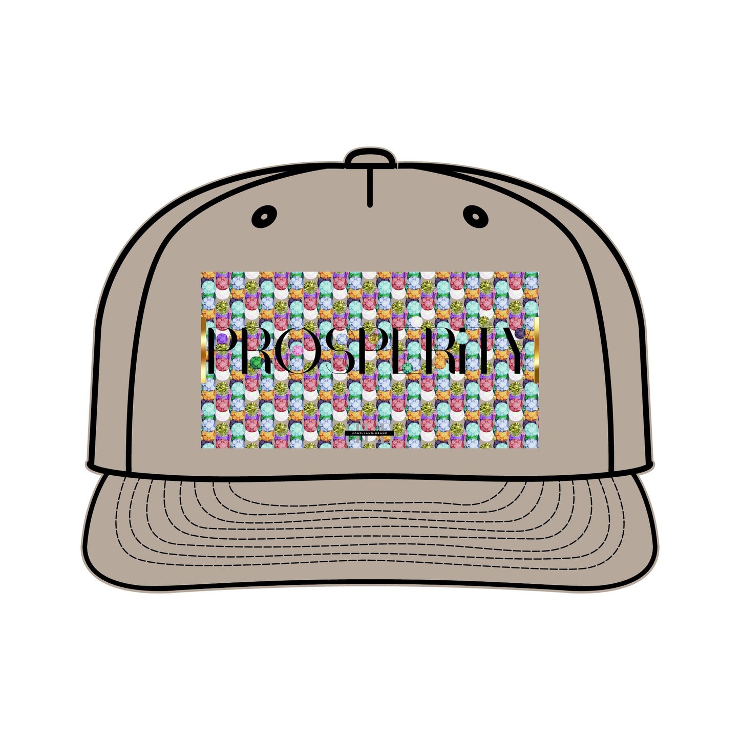 Prosperity Luxe Surf Cap