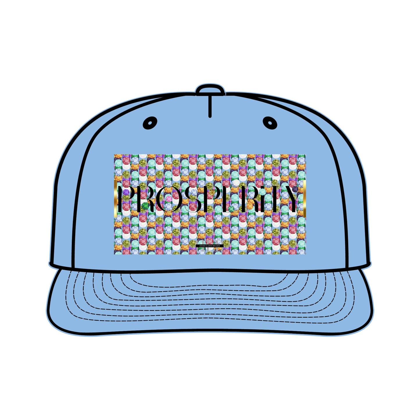 Prosperity Luxe Surf Cap