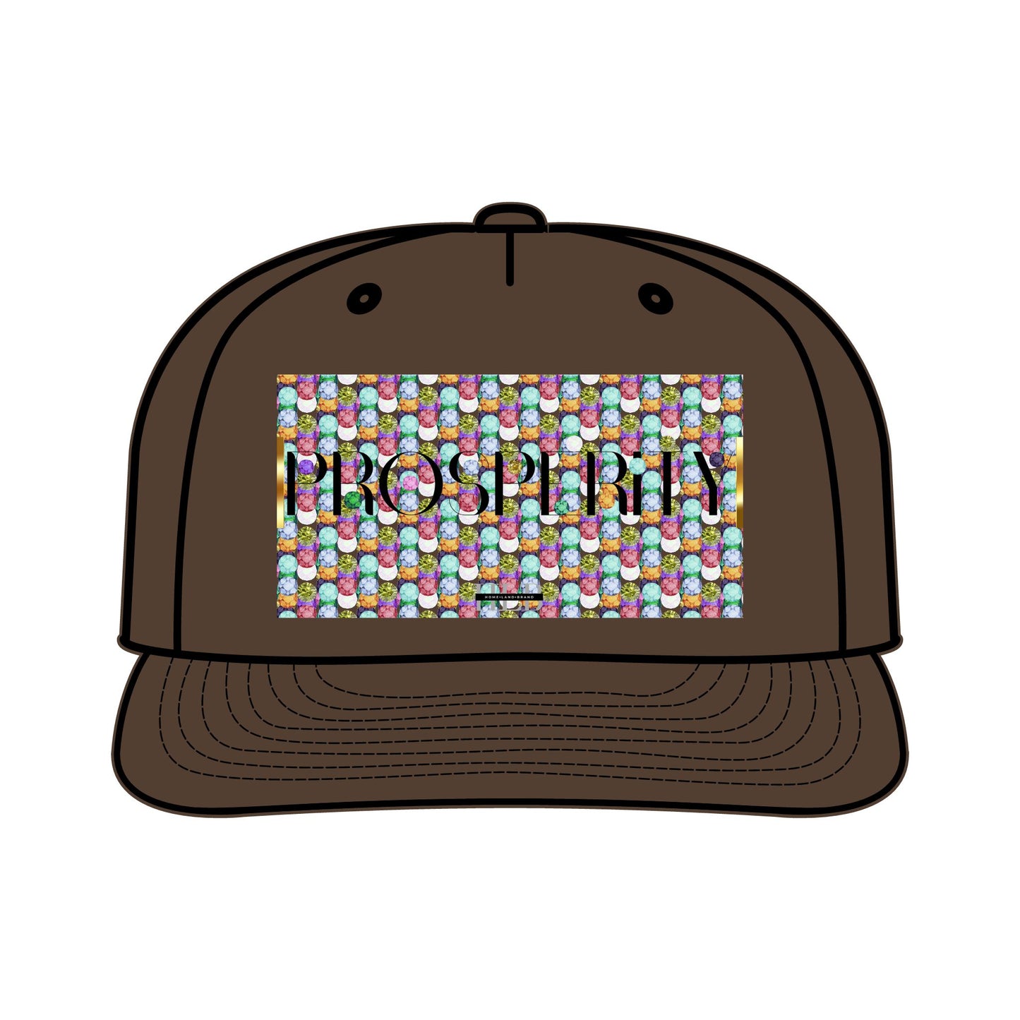 Prosperity Luxe Surf Cap