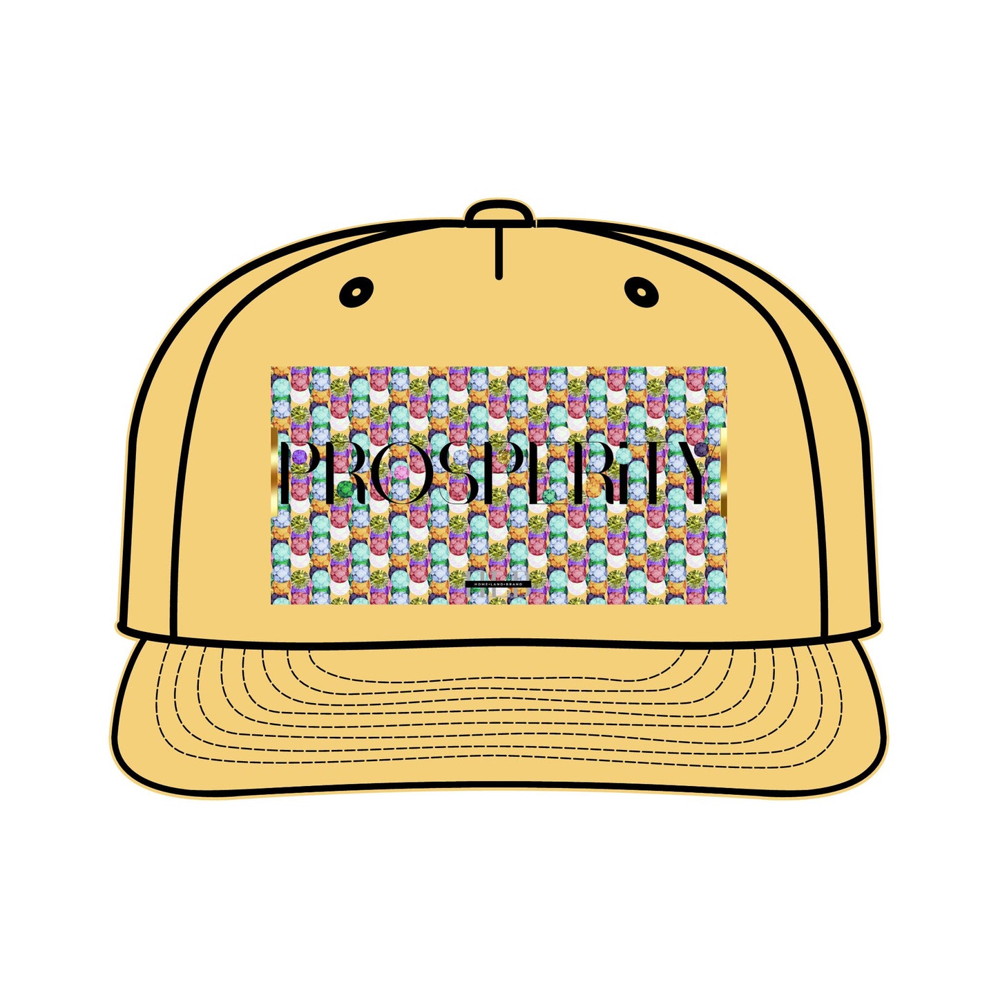 Prosperity Luxe Surf Cap