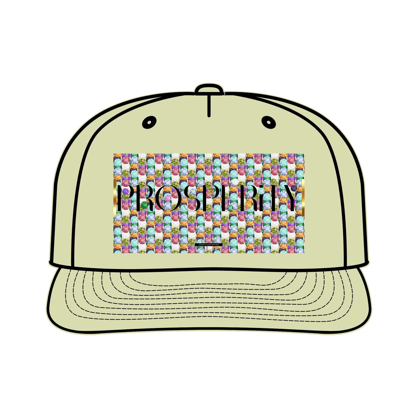 Prosperity Luxe Surf Cap