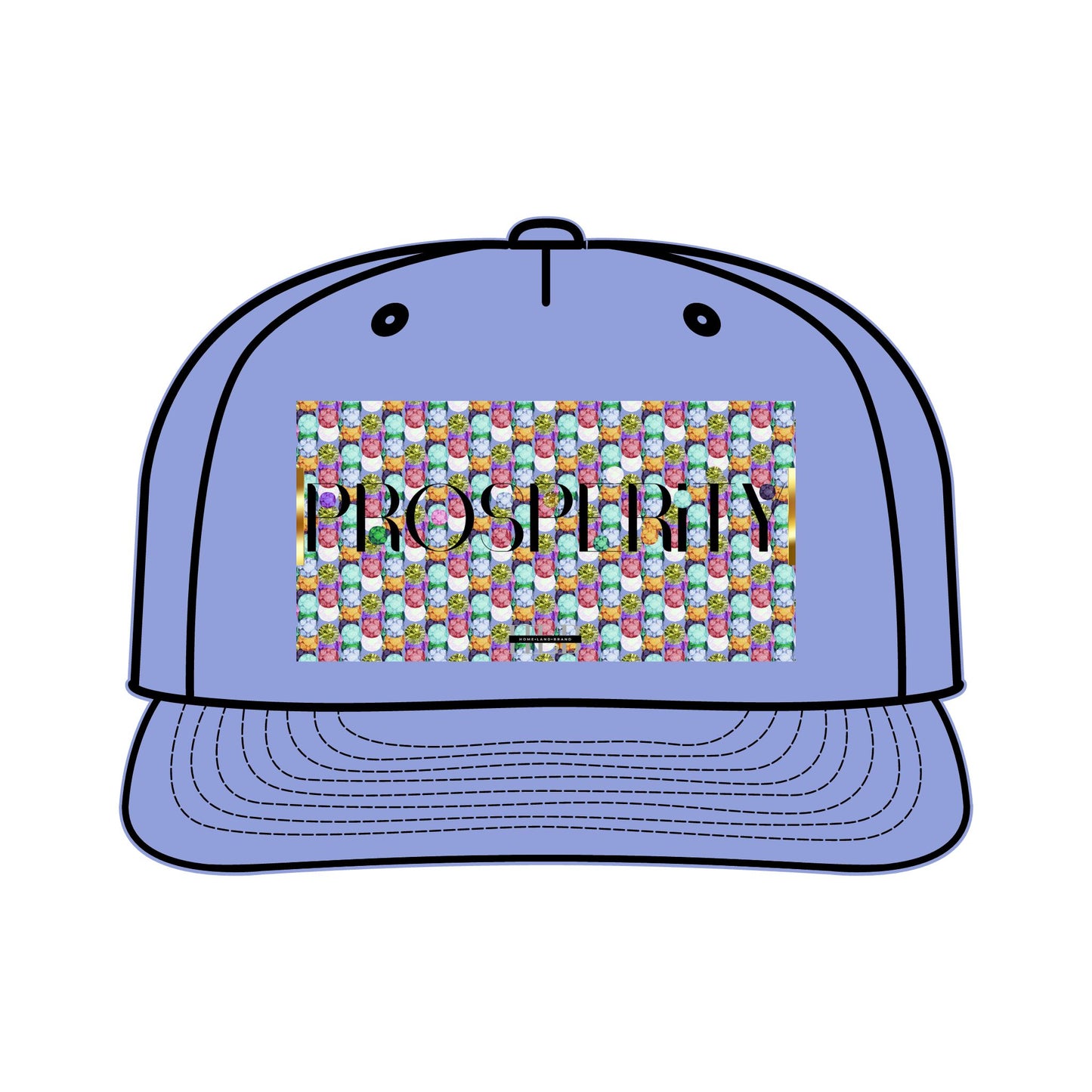 Prosperity Luxe Surf Cap