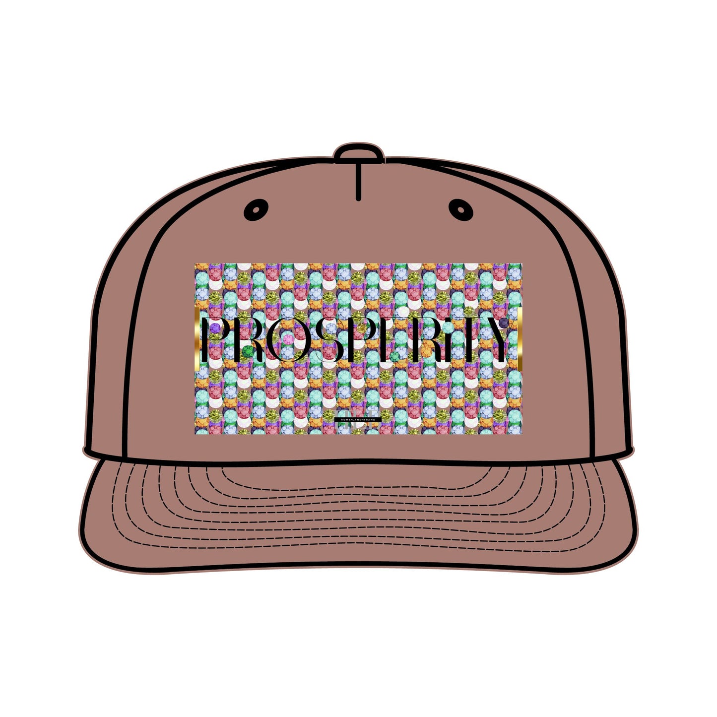 Prosperity Luxe Surf Cap