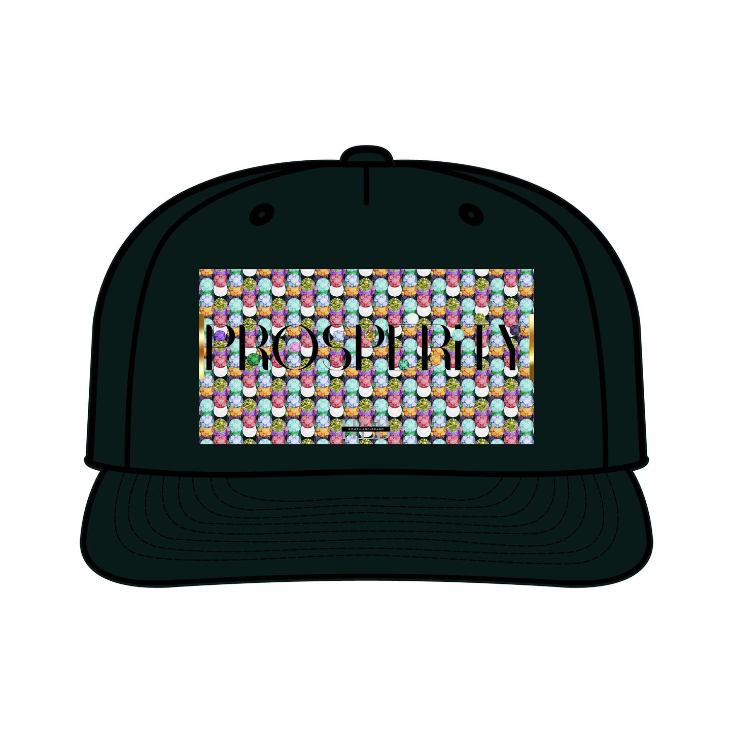 Prosperity Luxe Surf Cap
