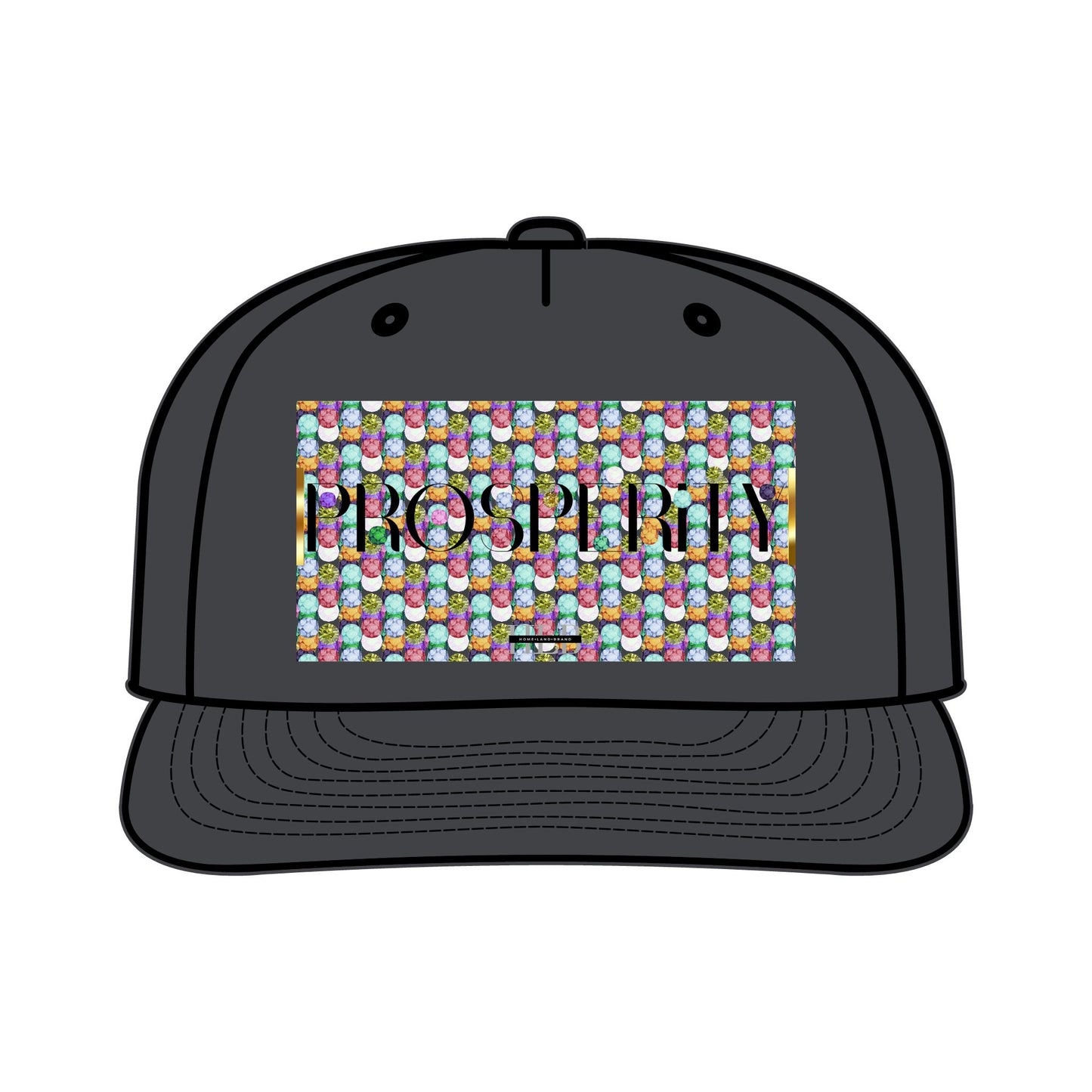 Prosperity Luxe Surf Cap
