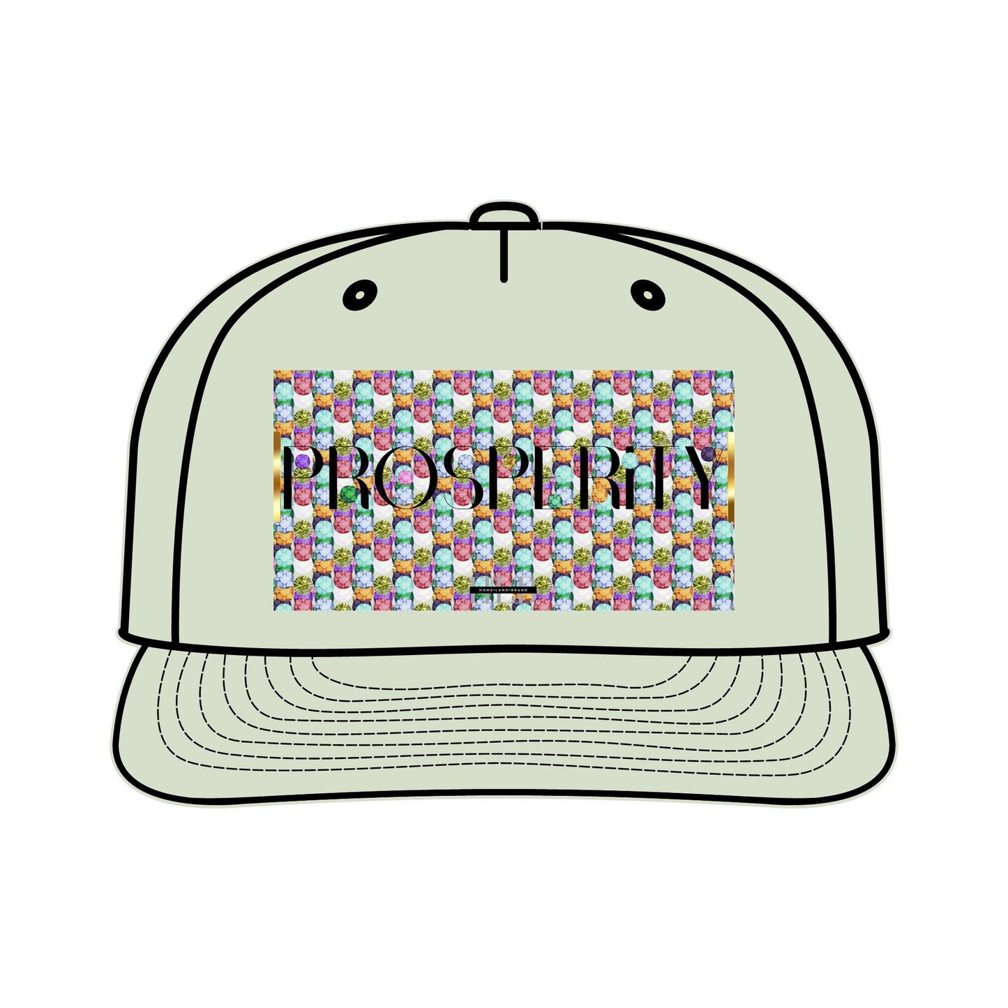 Prosperity Luxe Surf Cap