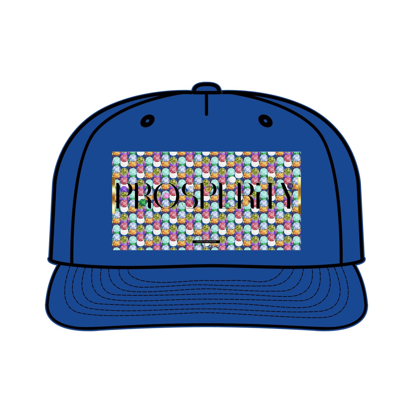 Prosperity Luxe Surf Cap