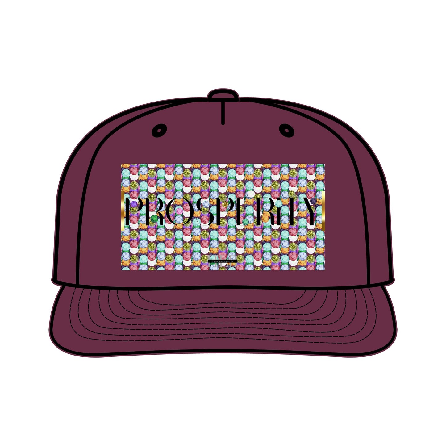 Prosperity Luxe Surf Cap